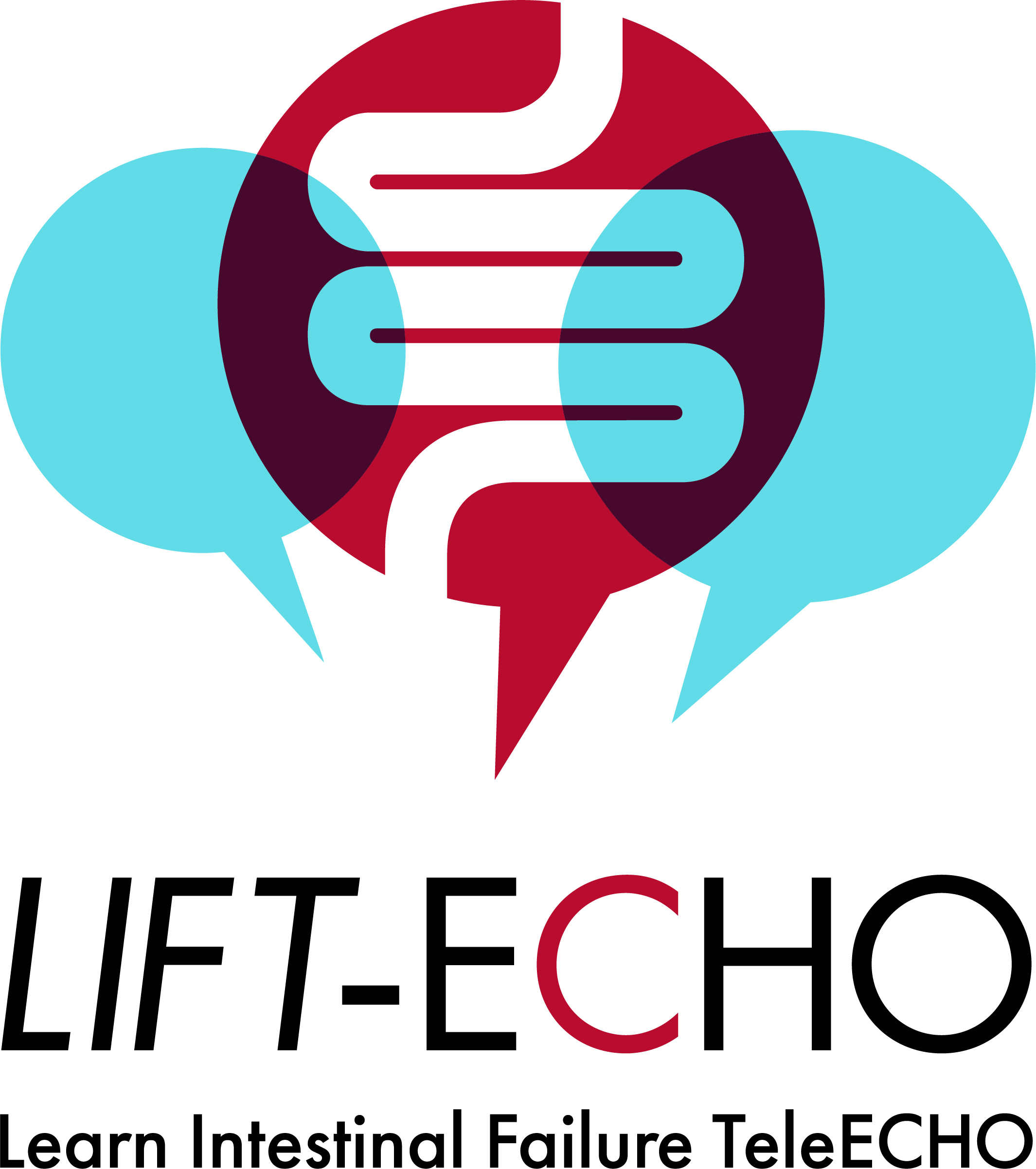LIFT-ECHO Logo